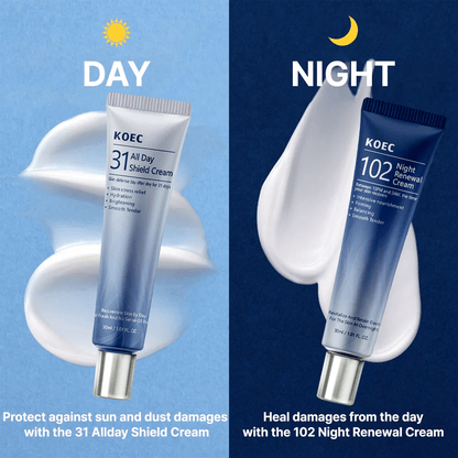 All - Day & Night 2 - Pack Cream for Face - Bare Radiance Skin and Beauty